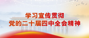学习贯彻党的二十届四中全会精神